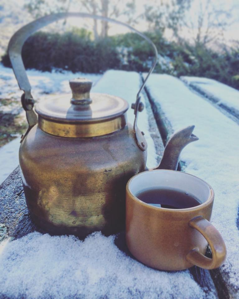 GTea Imported Black Teas